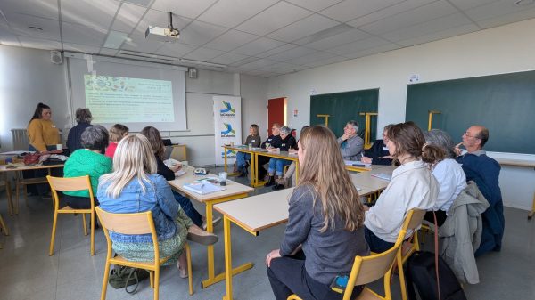 PXL_20260402_135330836.MP